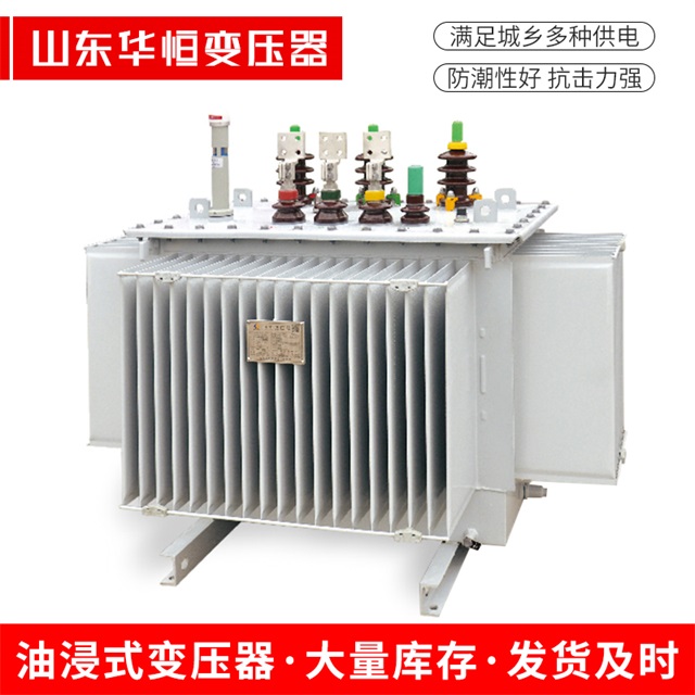 S13-10000/35平南平南平南电力变压器